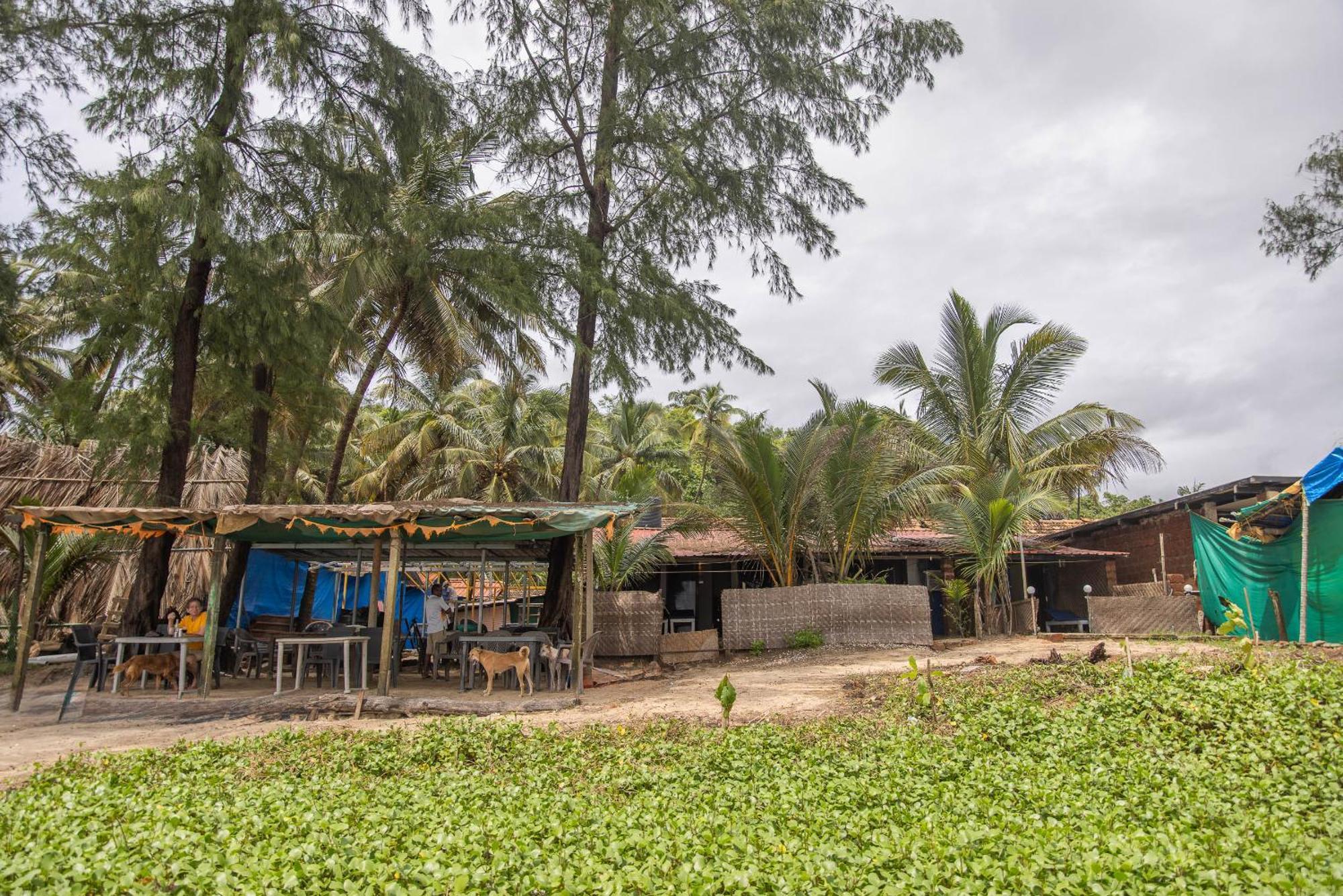 Talpona Beach Studios Canacona Dış mekan fotoğraf